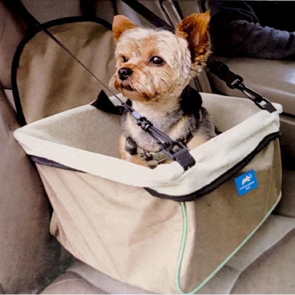 Animal Planet Pets car carrying booster for small dogs and cats - Picture 1 of 1